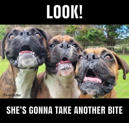 FB_IMG_1750083685770