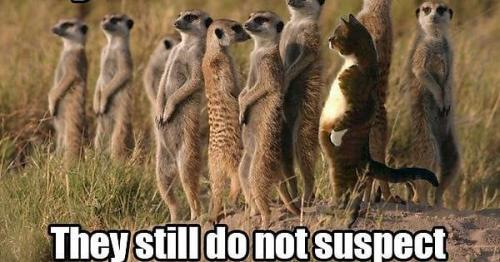 K0-5ZTF_f0Tod11VQKeB0-sNO59dyaRNewWaVRqXxYk