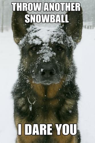 FB_IMG_1750779479099