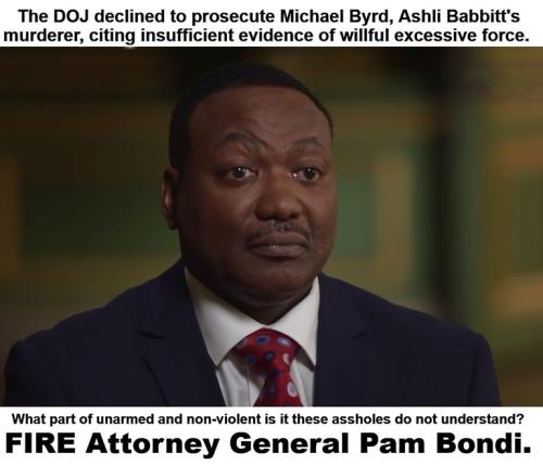 FIRE Attorney General Pam Bondi.768px