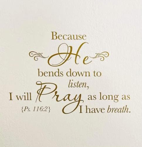 489758963_9449702591745925_878063857390657205_n