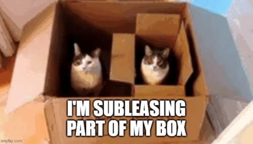 imgflipcom-subleasing-part-my-box