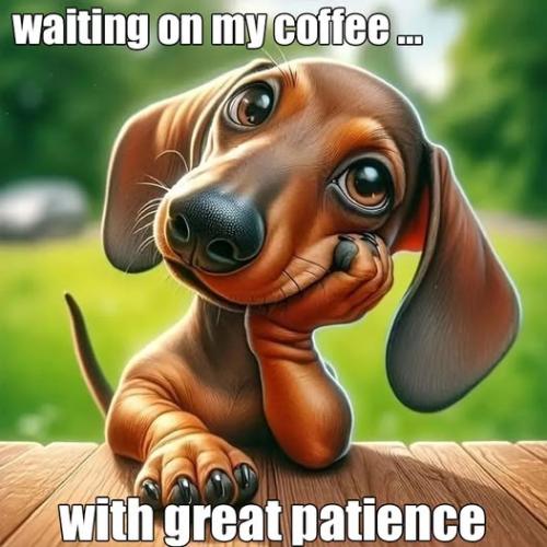 499491146_24943057631949040_4650882745285583276_n