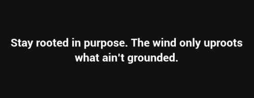 Screenshot 2025-06-12 11.00.22 AM