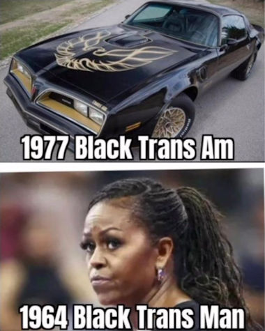 moochelle335