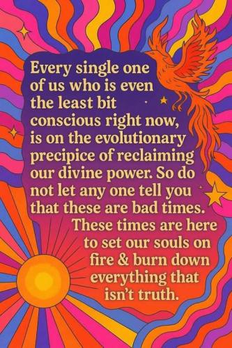 509360209_728565053393023_2763091580486228211_n