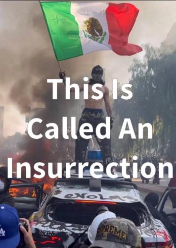 photo_2025-06-09_14-32-20