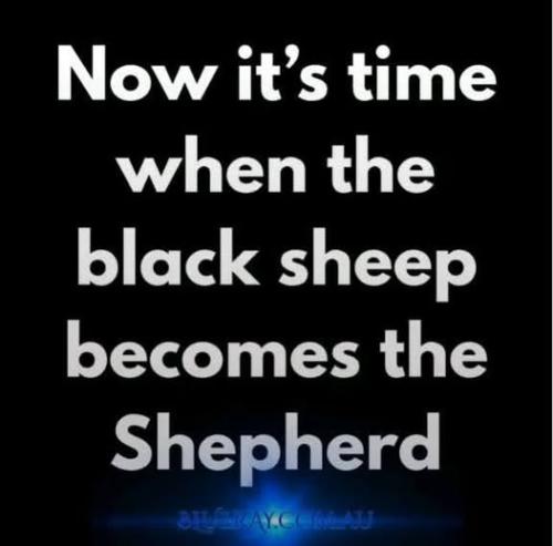 492981509_735119719404223_4375279421793299196_n