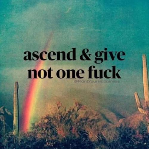 502639771_1402030527682628_1543202249562153517_n