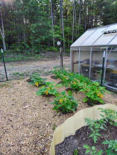 IMG_20250605_072930647_HDR