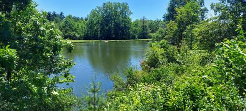 1686b111-68fb-43d0-b40d-cf6917209bd9