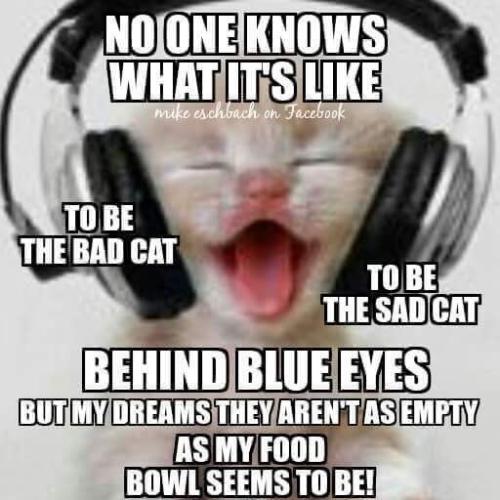 2270076e8e23c494430a32aa8bcc5340