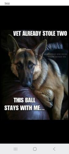 FB_IMG_1750787131927