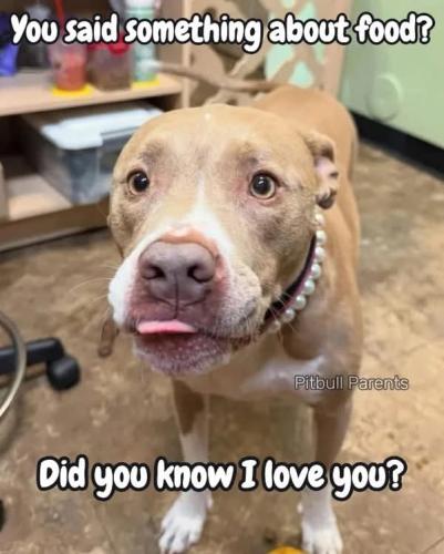 FB_IMG_1750455092143