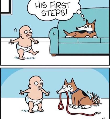 FB_IMG_1748803203256