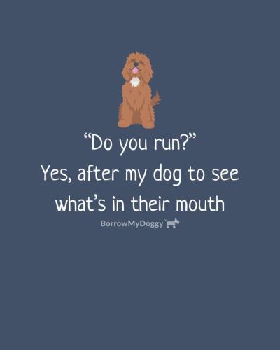 23bc133aac51b085f0c6a4a8551301c5