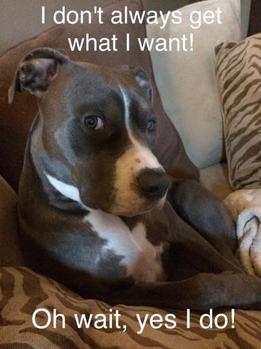 22dc1ab786058f4103306a958e45c858