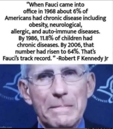 Screenshot 2025-06-20 132231