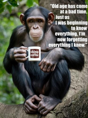 FB_IMG_1748731211324