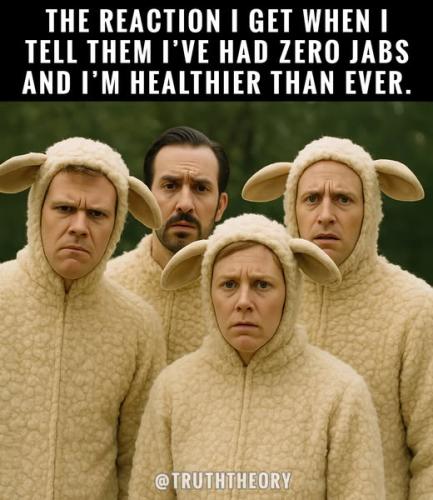 489485062_1065977172007269_1433824693718357184_n