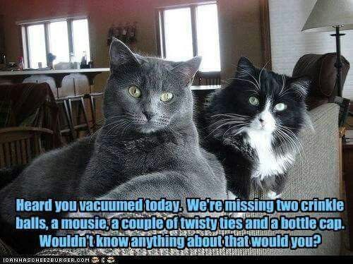 eb73a9e974093eaca40fd635802ddc2b