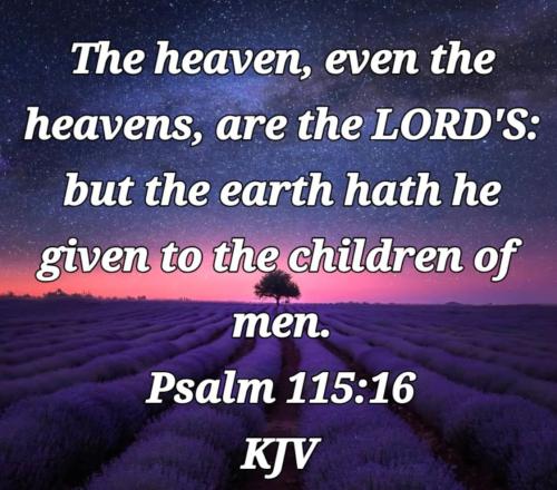 46275757-d547-4c8e-a3b3-eace197f18aa