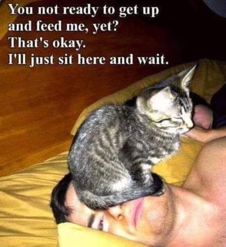 FB_IMG_1749053393960