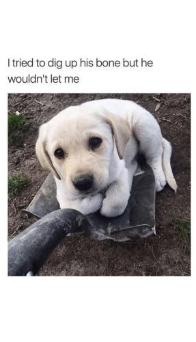 FB_IMG_1748960334961