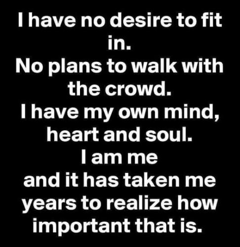 500976715_122234162498240634_2409857690666976437_n