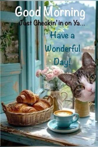 505113327_1235577808007027_5744080552925059640_n