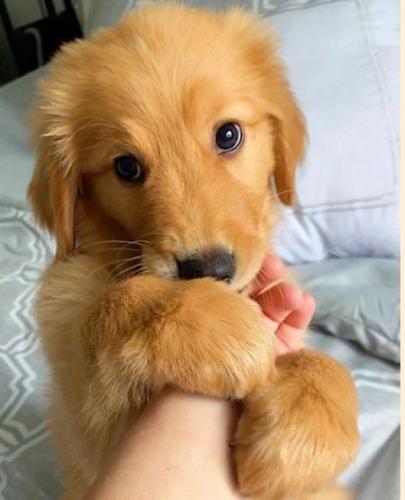 96b9e010f2415a6ccb3af8b0e2b9dc59