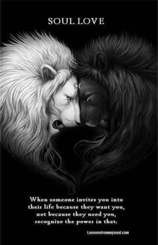 484805381_122205202664233139_4743787038398228150_n