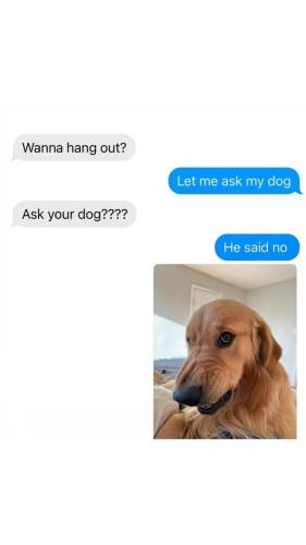 FB_IMG_1749646307551