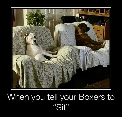 FB_IMG_1750081855938