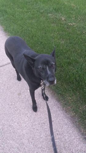 77af5692-a222-499f-b95a-36ffddcc56dd