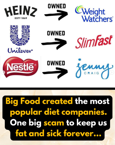 Screenshot 2025-06-27 160002