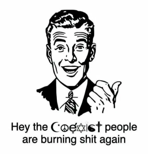 image_2025-06-11_061754539