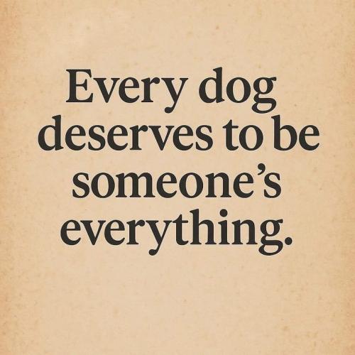 4f22c4789e257c72522ef15726a9765c