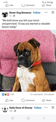 Screenshot_20250615_161937_Facebook