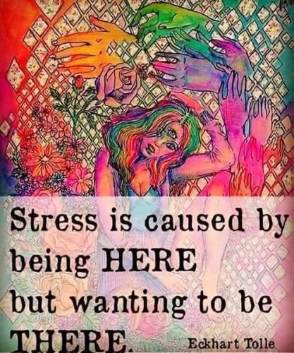 514331340_735687659347429_1126578377247531711_n