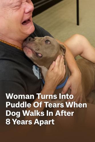 FB_IMG_1748982625487