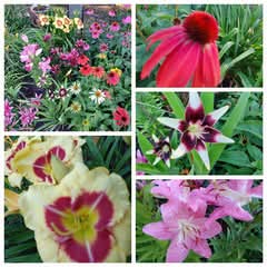 FB_IMG_2117186295568646432