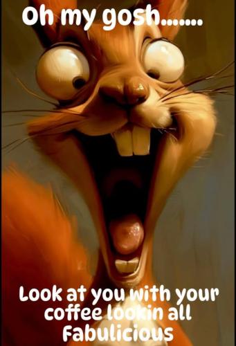 502567919_1794220254828273_3829581623483373949_n