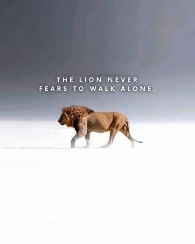 489496898_676879771506064_4973783660050452104_n