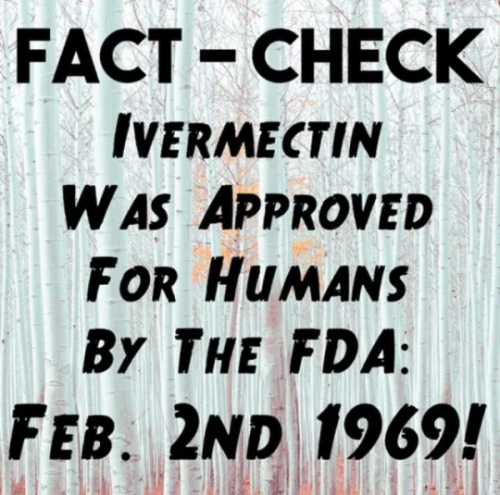 image_2025-06-06_062829851