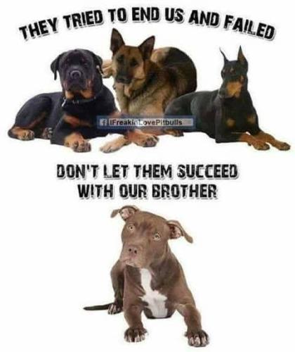 FB_IMG_1749131625939