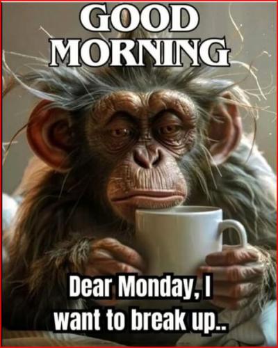 59b2033f6db23def760f2123d330896b9983d775e3f49dde8ca85dc1be4a3f92_1