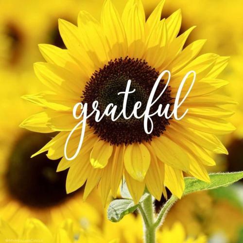 569e0022176f4343d5de347d48e95825