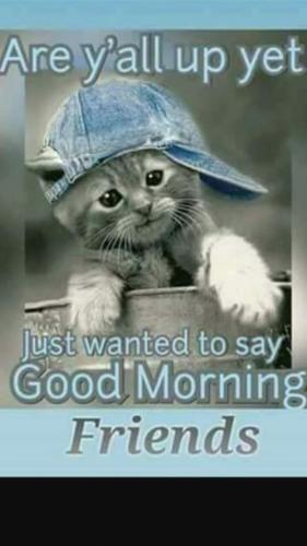 2aa443064e95ee2708552da976a7e3cd