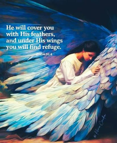 481256799_947115330946638_409577526996073568_n